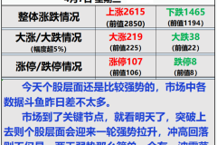 研究生考试时间全解析：掌握关键节点，轻松备考不迷茫