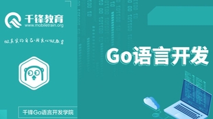 Go语言入门教程：从Hello World到构建RESTful API的完整指南